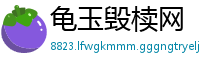 龟玉毁椟网